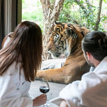 Big Cat Bungalows At The Haven - Lion 2 Canastota Exteriér fotografie
